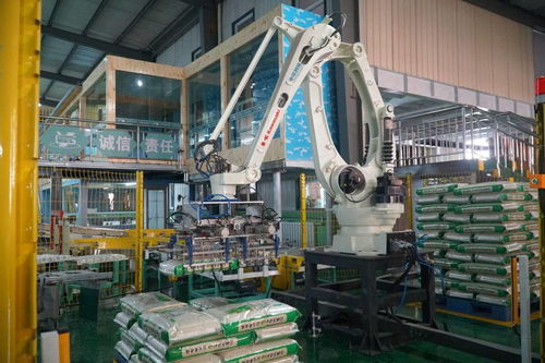 软件技术开发赋能宁夏绿色食品产业，激发农业新活力